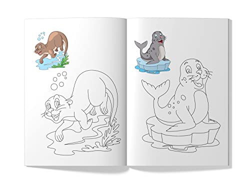 Sea Animals (Little Artist Series)