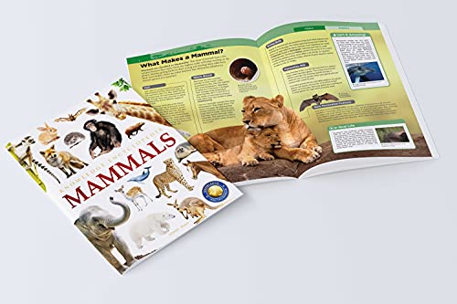 Animals: Mammals (Knowledge Encyclopedia For Children)