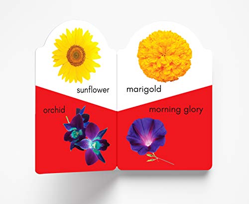 My early learning book of Flowers : Attractive Shape Board Books For Kids (My Early Learning Books)