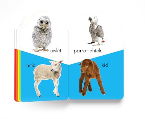 My early learning book of Baby Animals : Attractive Shape Board Books For Kids (My Early Learning Books)