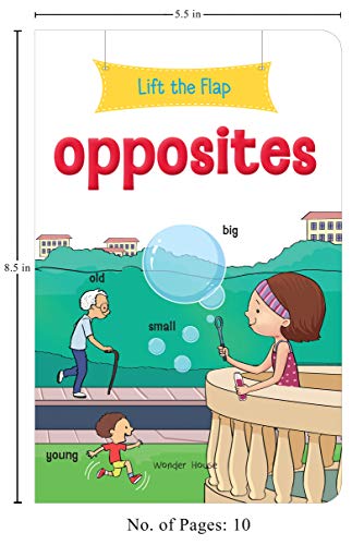 Lift the Flap: Opposites: Early Learning Novelty Board Book For Children
