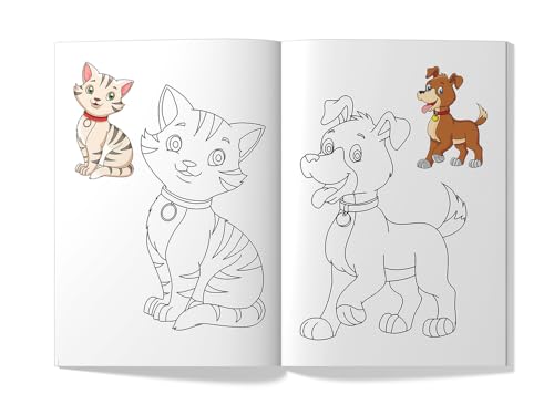 Pets (Little Artist Series)