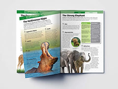 Animals: Mammals (Knowledge Encyclopedia For Children)