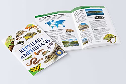 Animals: Reptiles and Amphibians (Knowledge Encyclopedia For Children)