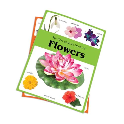 My First Book Of Flowers