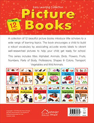 Early Learning Picture Books Boxset: Pack of 12 Picture Books For Kids (Wipe & Clean)