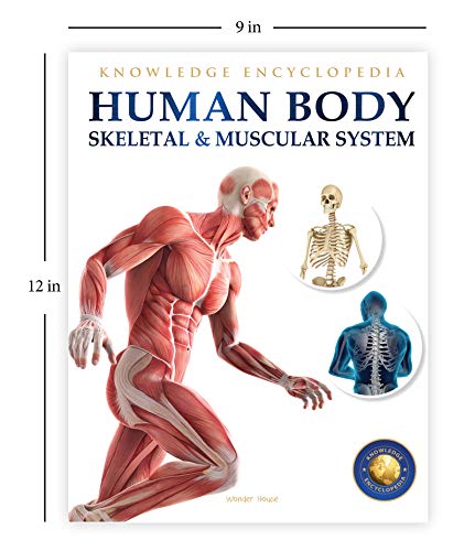 Human Body: Skeletal And Muscular System (Knowledge Encyclopedia For Children)