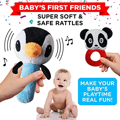 Einstein Box Gift Set for Babies and Newborns ages 0-3-6-9-12 Months | High Contrast Flash Cards for Visual Stimulation & Sensory Development | Gift Set of Rattles and High Contrast Book & Flash Cards