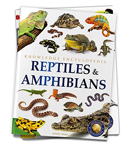 Animals: Reptiles and Amphibians (Knowledge Encyclopedia For Children)