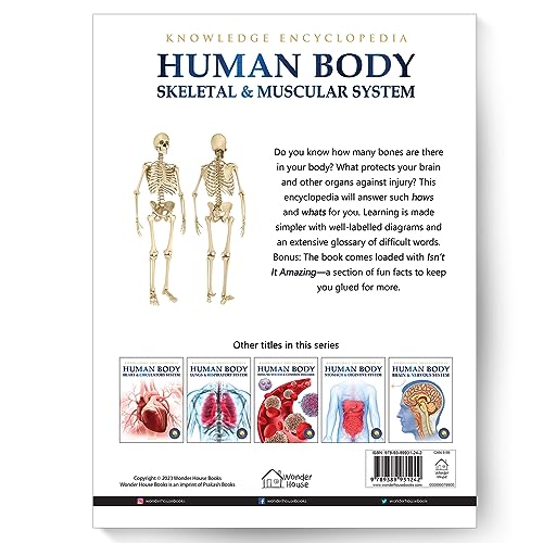 Human Body: Skeletal And Muscular System (Knowledge Encyclopedia For Children)