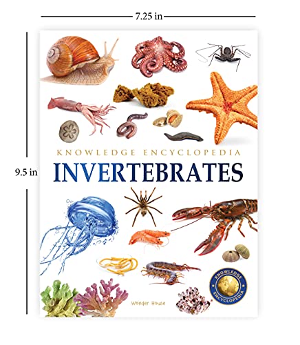 Animals: Invertebrates (Knowledge Encyclopedia For Children)
