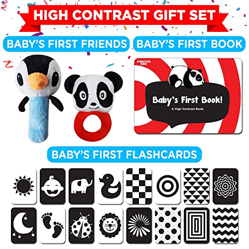 Einstein Box Gift Set for Babies and Newborns ages 0-3-6-9-12 Months | High Contrast Flash Cards for Visual Stimulation & Sensory Development | Gift Set of Rattles and High Contrast Book & Flash Cards