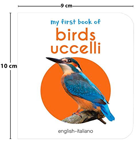 My First English-Italiano Learning Library (la mia prima biblioteca delle parole Inglese-Italiano): Boxset of 10 English - Italian Board Books (English and Italian Edition)