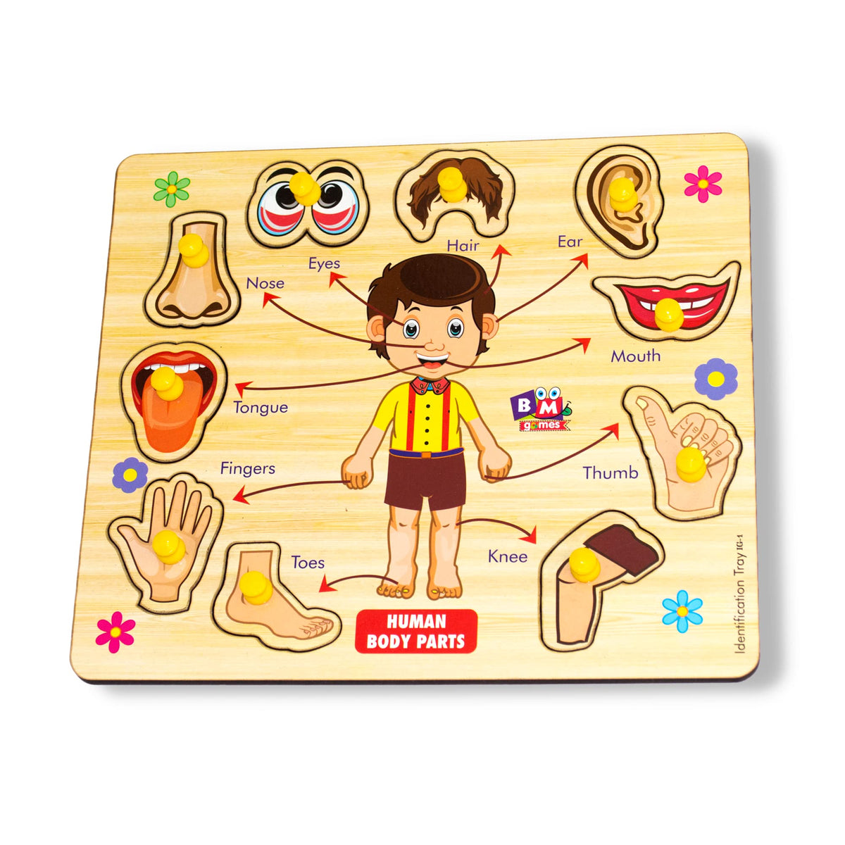 BuGBee Body Parts Toddler Puzzles for Kids Ages 2-4-8 Montessori Wooden Puzzles for Children 3-5 Years Old – Preschool Game for Learning Human Body Parts Anatomy Skeleton - Gift Toys for Boy and Girl