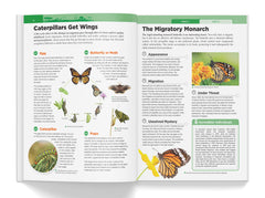 Knowledge Encyclopedia: Animals (Knowledge Encyclopedia For Children)