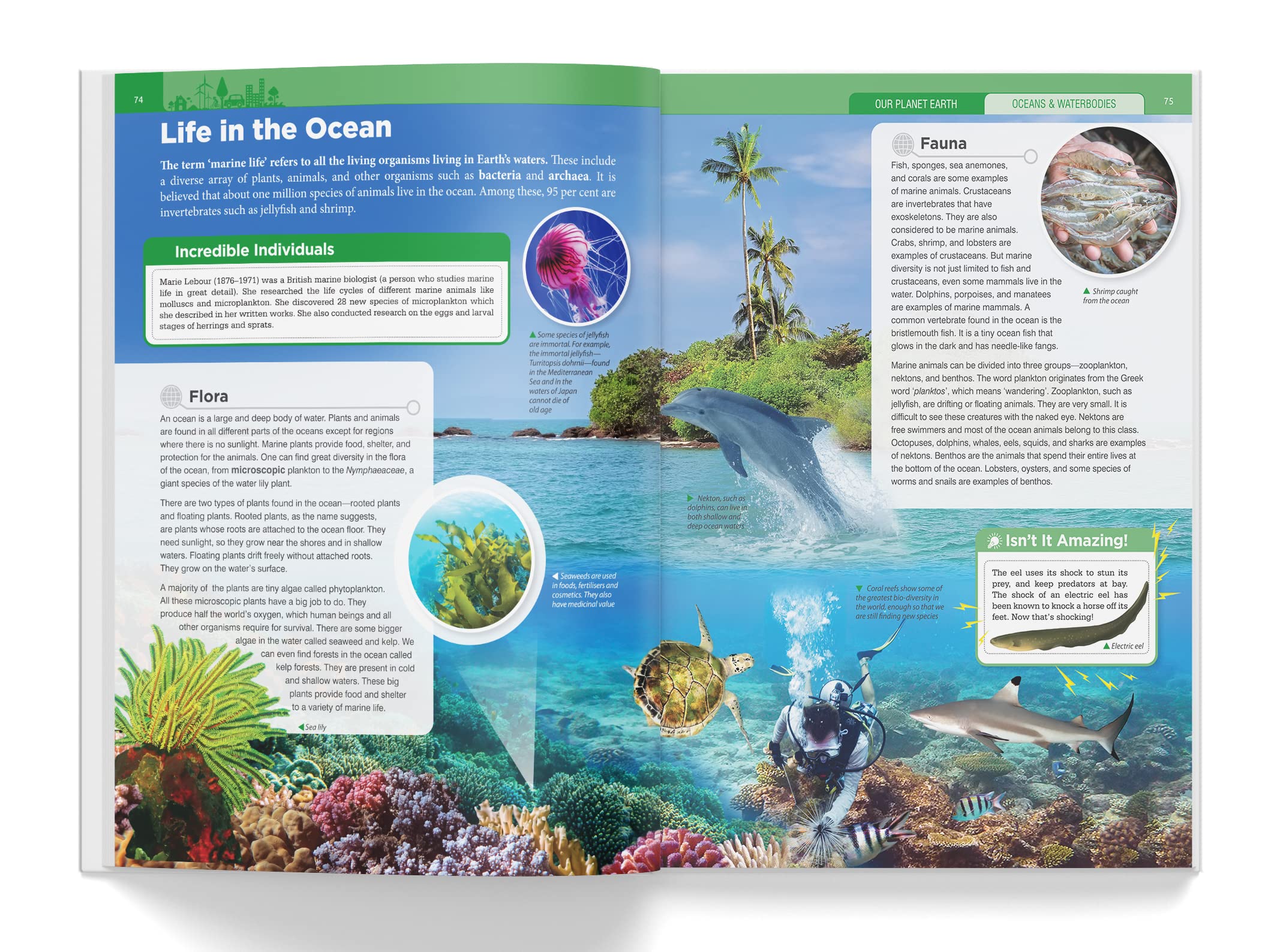 Knowledge Encyclopedia: Our Planet Earth (Knowledge Encyclopedia For Children)