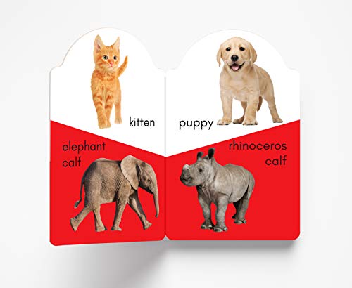 My early learning book of Baby Animals : Attractive Shape Board Books For Kids (My Early Learning Books)